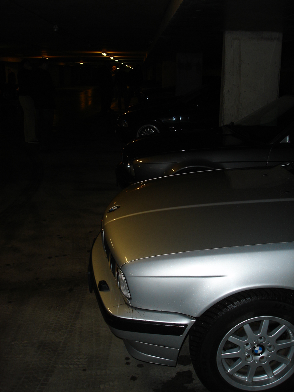 DSC01107.jpg