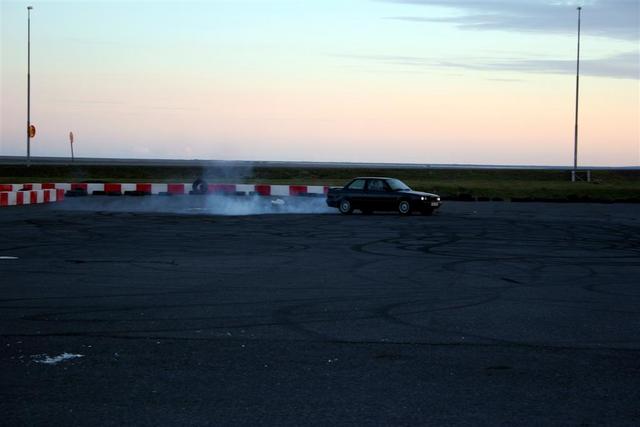 IMG 4585 (Large)