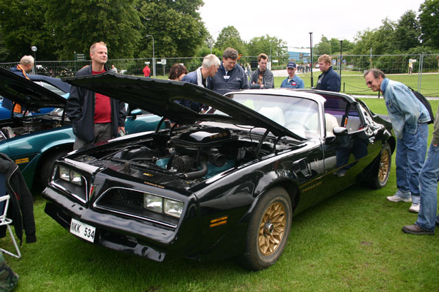 svartur trans am fram