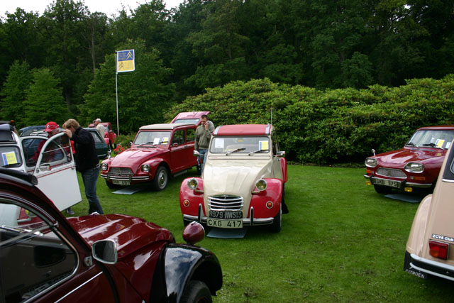 citroen bland i poka