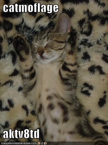 funny-pictures-cat-camoflauged-fur-blanket