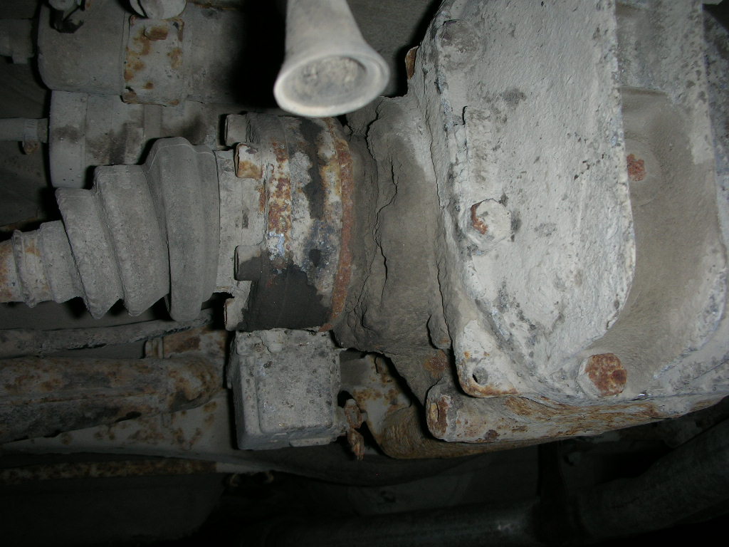 DSCN0674