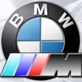 bmw_logo_m_logo-300x300
