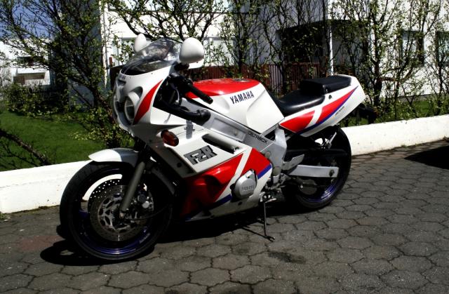 FZR600